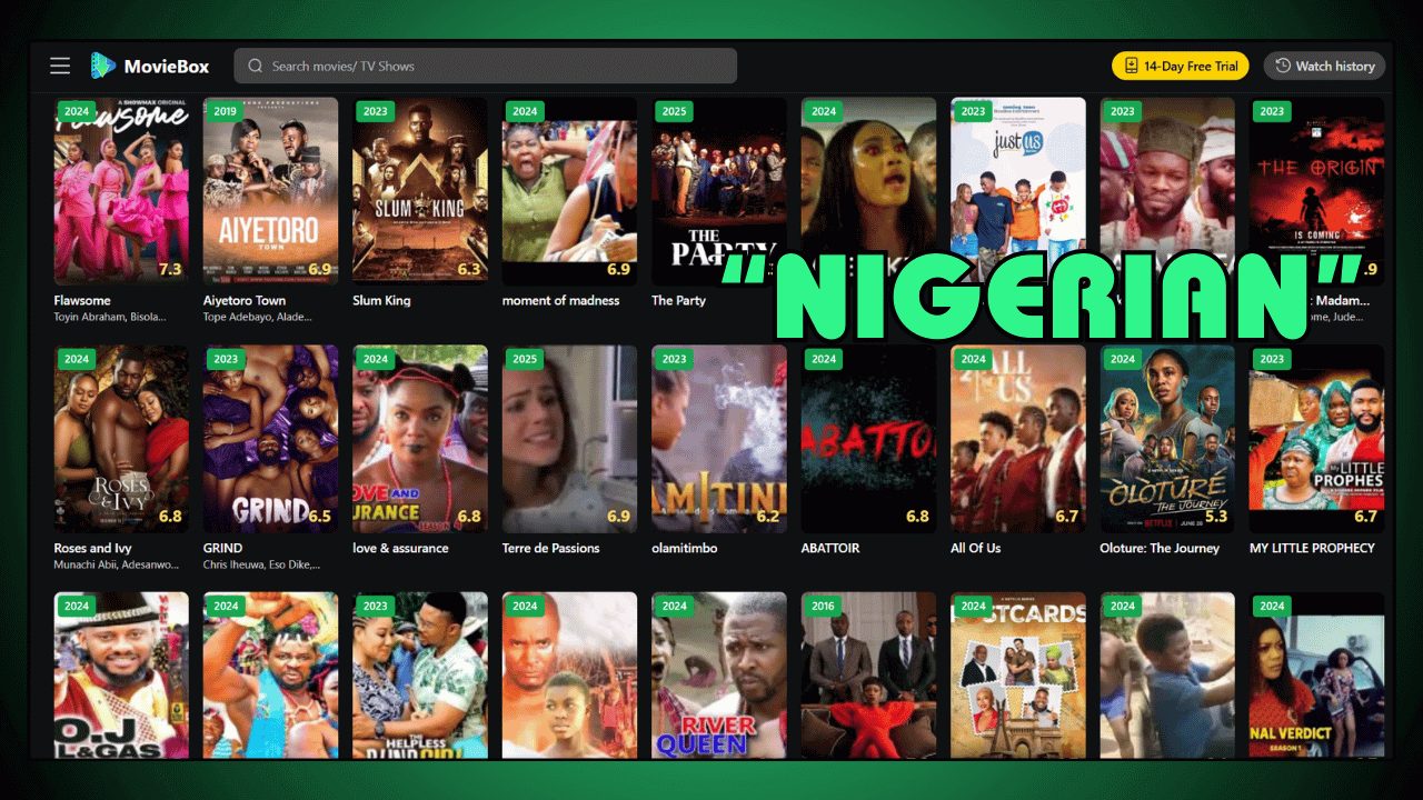 Nigerian Nollywood Films